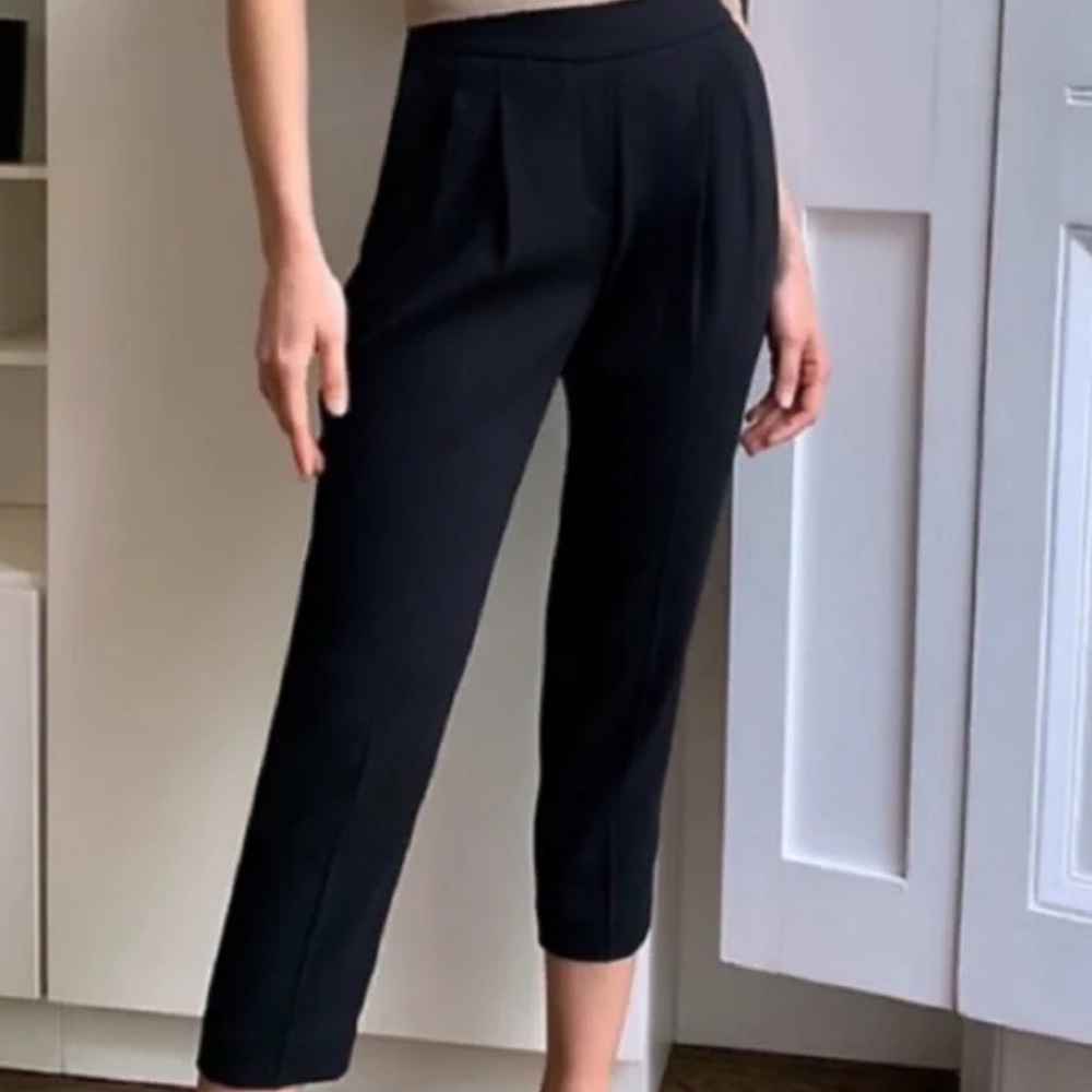 Aritzia Babaton Conan trousers